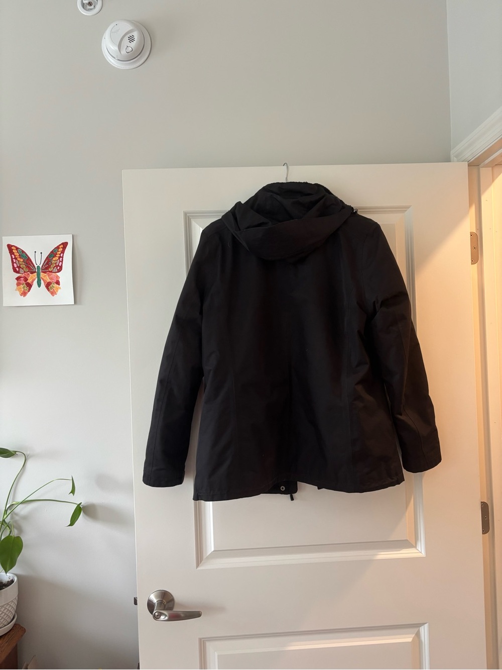 Gerry Winter Coat - Picture 4 of 4